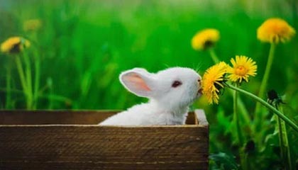 爱游戏体育官方网站-中国男篮训练营开展专项投篮技术强化课程，篮球投篮训练师