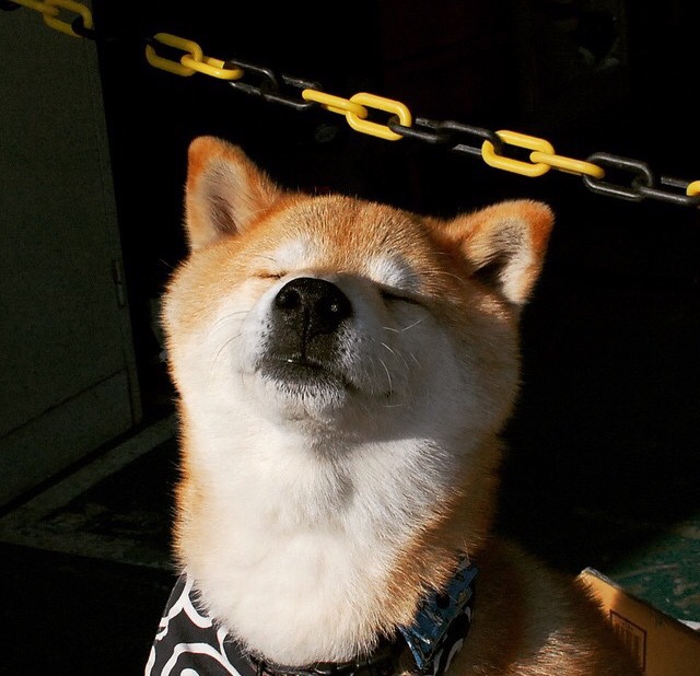 “足球+智慧场馆”在全国多地铺开,行业基础设施不断升级,智慧城足球场